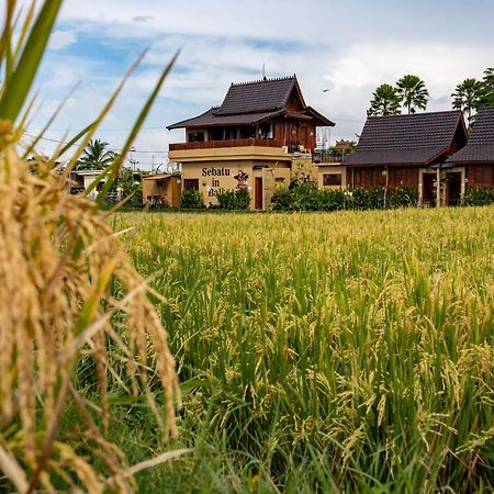 Barong Bali Villas Ubud Exteriör bild