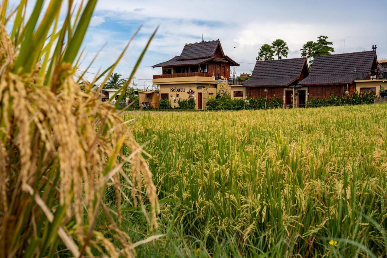 Barong Bali Villas Ubud Exteriör bild