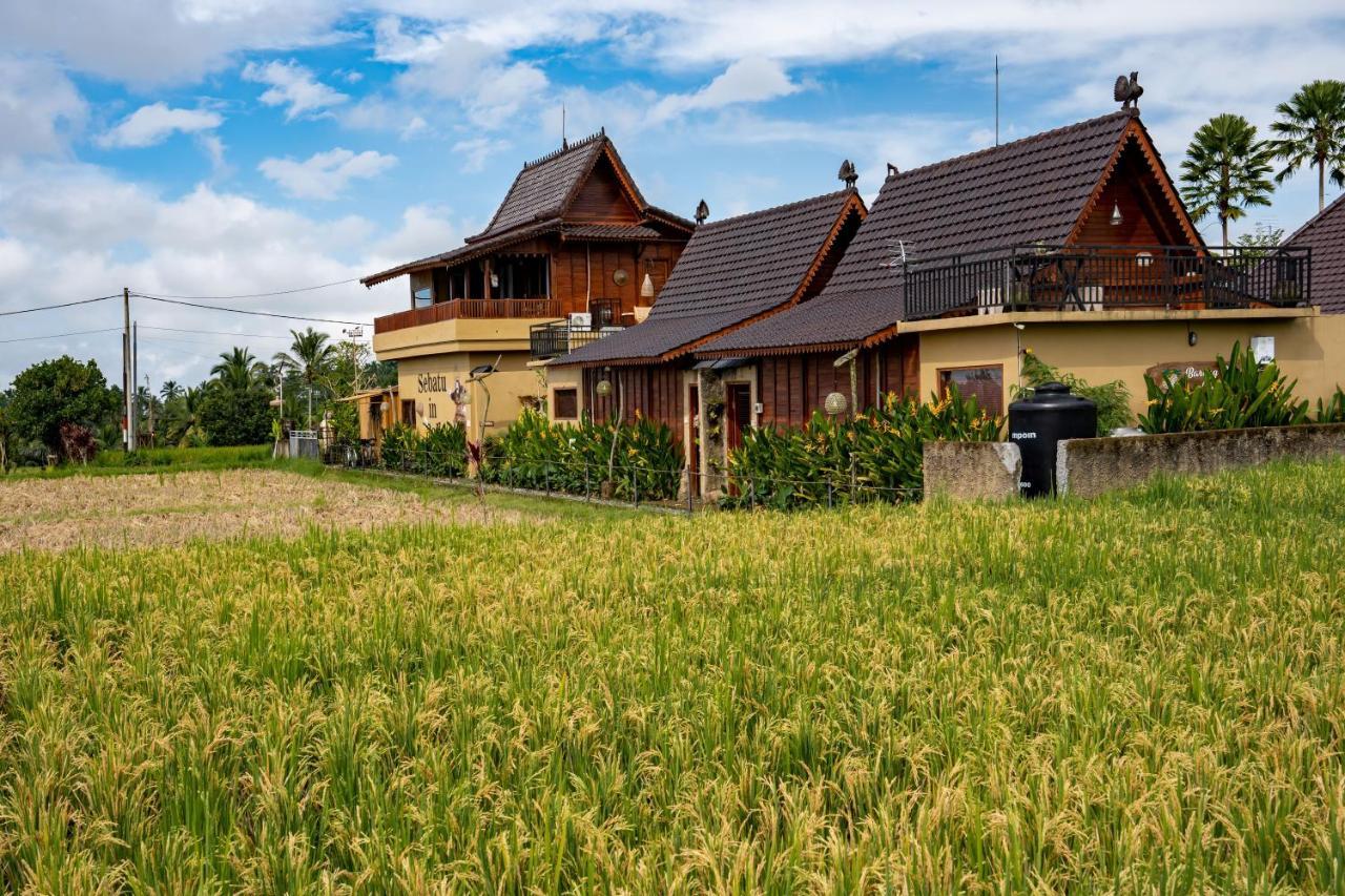 Barong Bali Villas Ubud Exteriör bild