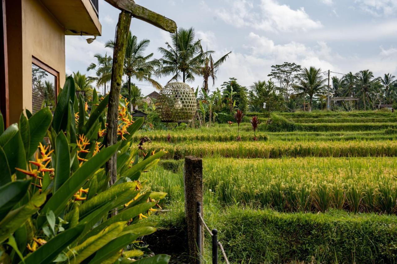 Barong Bali Villas Ubud Exteriör bild